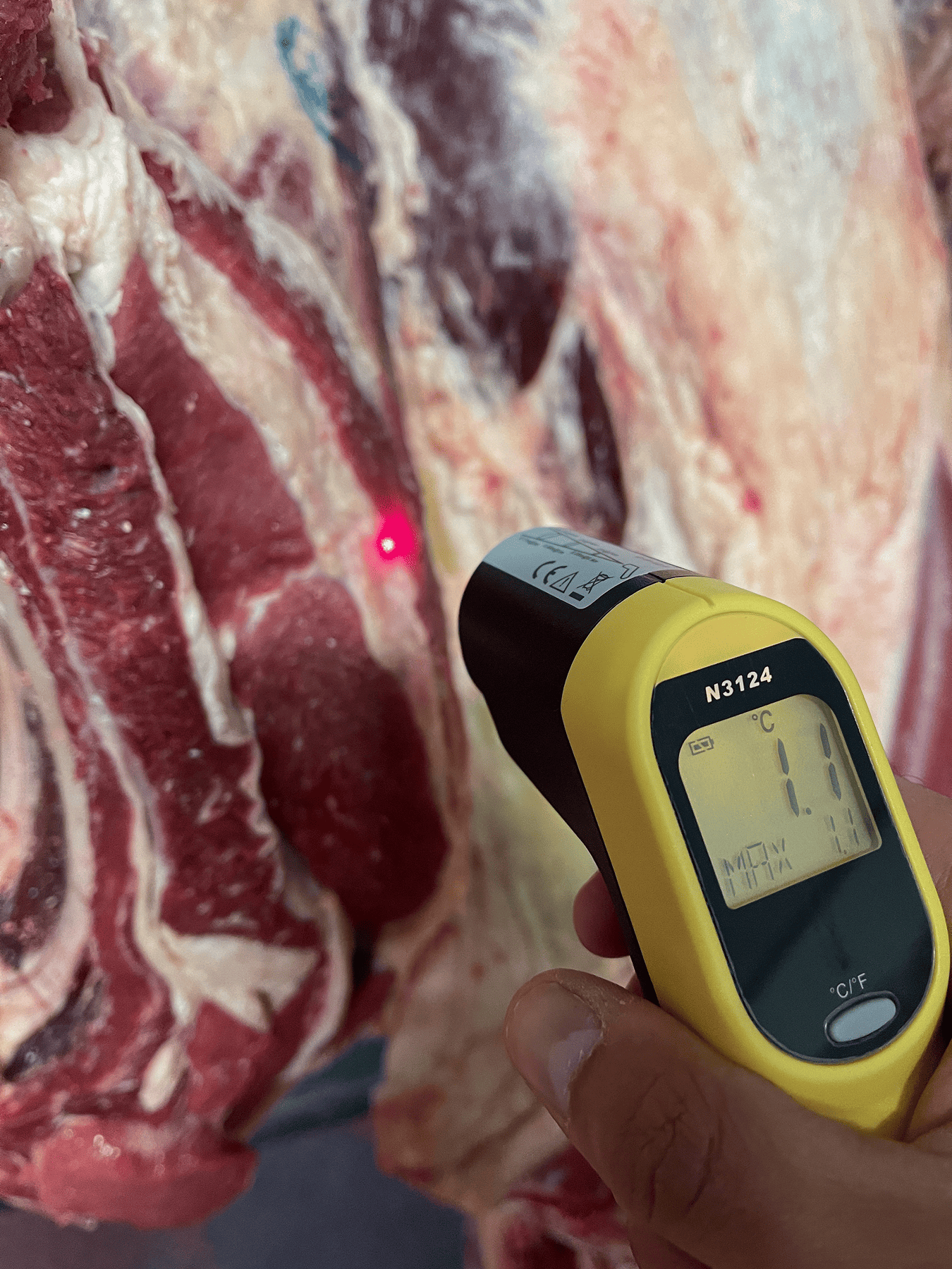 prise de température de la viande avec un thermomètre laser