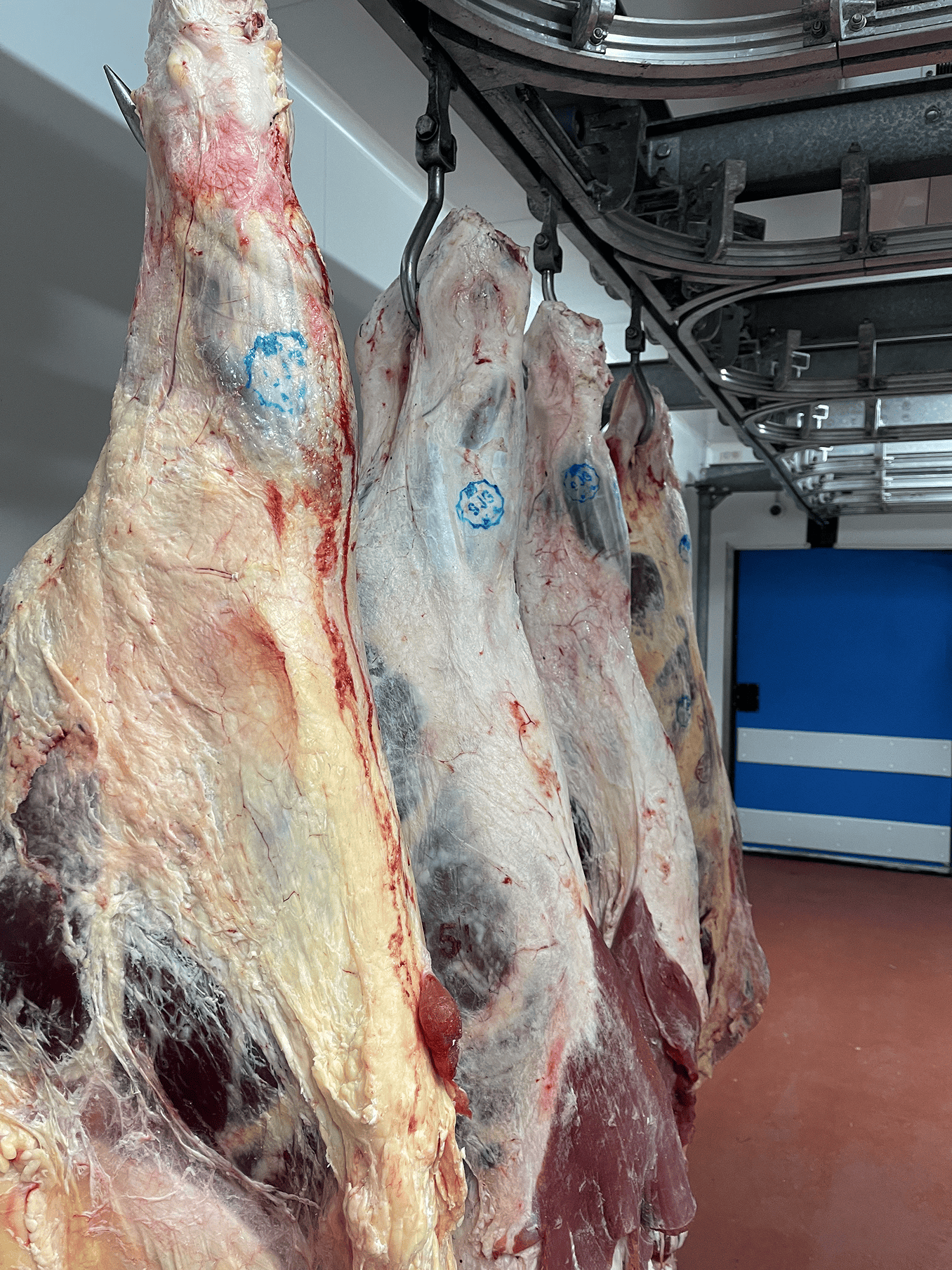 Au sein de l'atelier, on n'y produit uniquement des viandes halal et rien d'autres ...